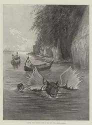 ブリティッシュコロンビア州のタク川でのチヌークインドの狩猟ムース